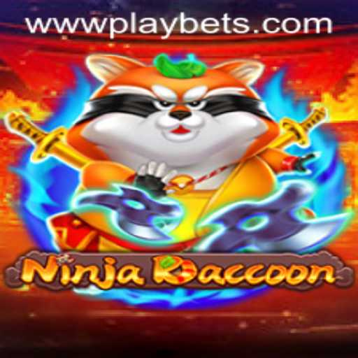 Discover NinjaRaccoon: The Thrilling World of Play Bets